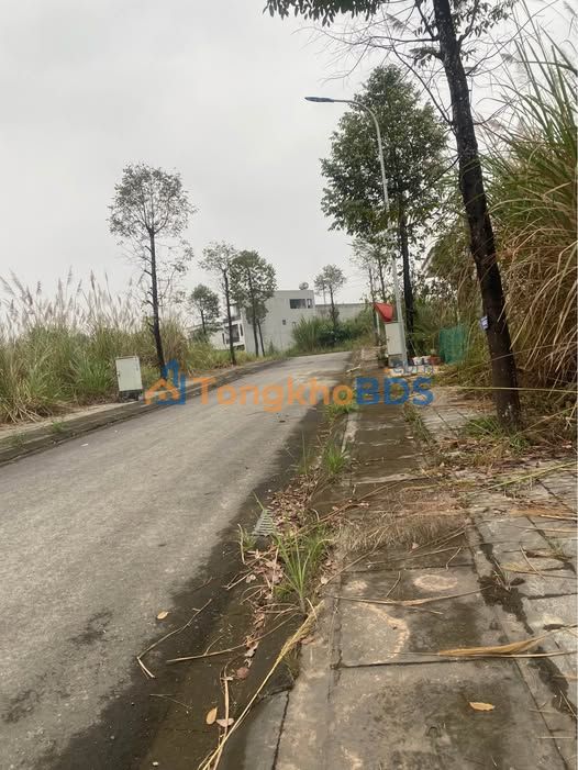 Đất Vàng Trung Tâm Ruby Yên Bình - 102m² Thổ Cư, Giá 1.2 Tỷ