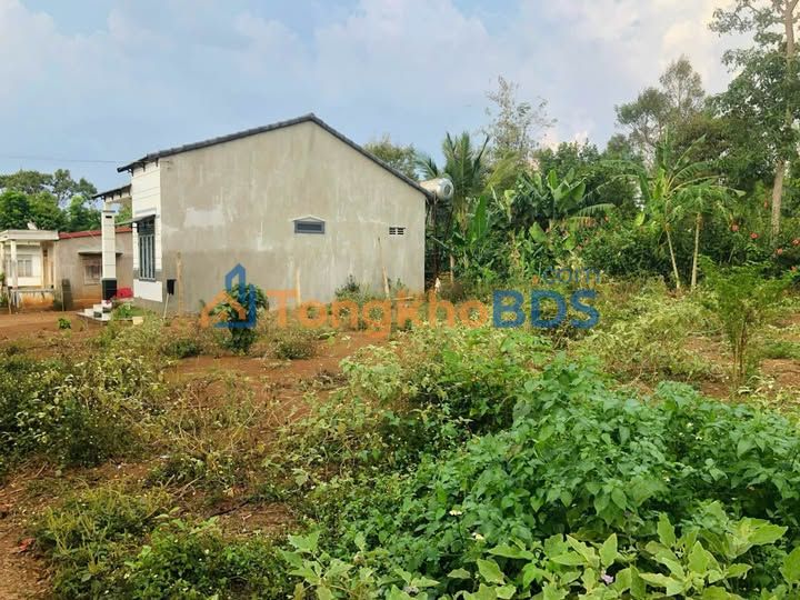 Đất nền Eaknur 180m² (10x18m) - Giá 590 triệu, Thổ cư 140m²