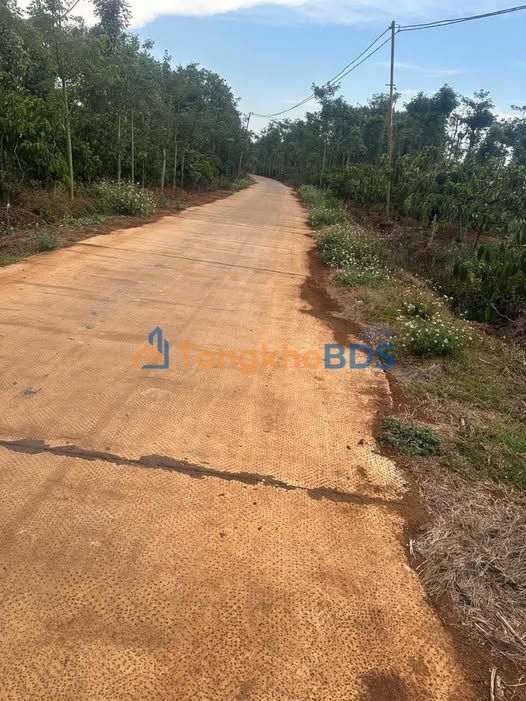 Đất Vườn Ea Kao, BMT 600m² - Giá chỉ từ 499 Triệu, Sổ Đỏ Riêng