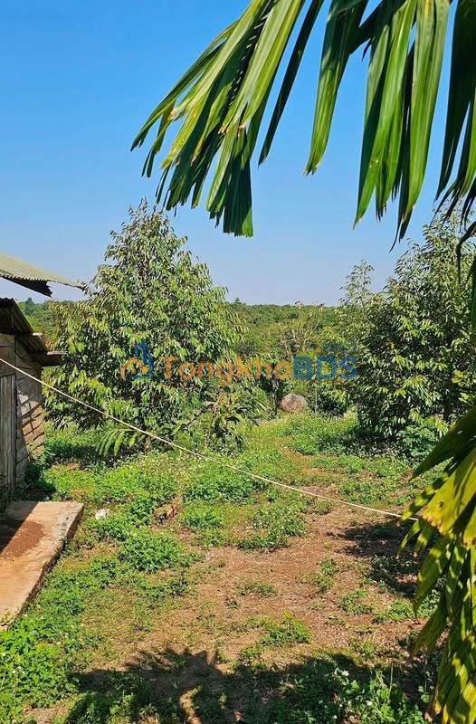 Đất vườn Quảng Hiệp Cư M'gar 1656m² 1.05 tỷ - Giá đầu tư tốt