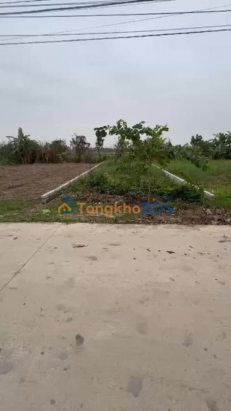 Đất Đấu Giá Vĩnh Bảo, Hải Phòng - 130m² Sổ Đỏ Sẵn Sàng