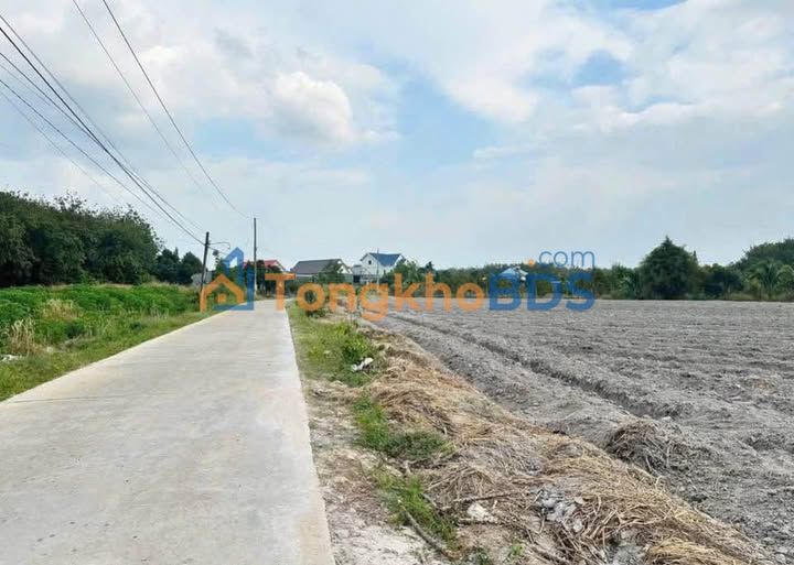 Đất Nền 200m² Bàu Bàng, Bình Dương - Giá Chỉ 195 Triệu, Sẵn Sổ