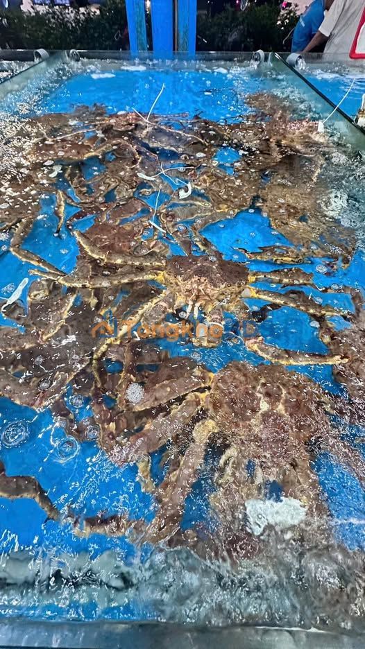 Nhà Phố 5 Tầng Mặt Tiền Đường HLKD Lào Cai - 100m², Sổ Hồng Riêng