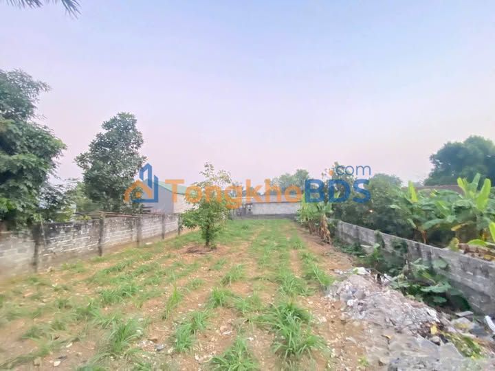 Đất Hoàng Mai 182m² - Ô tô tải vào tận nơi - Giá chỉ 1.2 tỷ