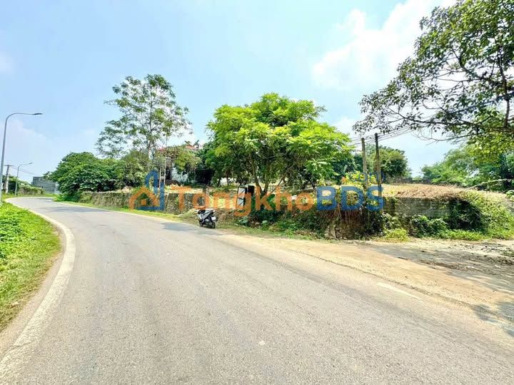 Đất Lô Góc 2200m² Trục Chính Nhuân Trạch, Lương Sơn - Sẵn Sàng Đầu Tư