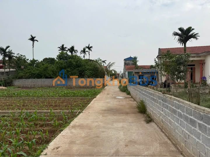 Bán đất Thụy Lôi, Hưng Yên 100m² - Ô tô vào tận nơi, giá chỉ nhỉnh 9 tỷ