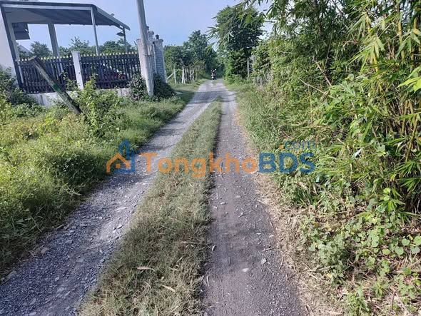 Bán Đất Tân An Hội Củ Chi 206m² - Sổ Hồng Sẵn Sàng