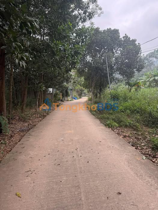 Bán Đất Nông Tiến 220m² - Sổ Đỏ Thổ Cư, Ô Tô Vào Tận Nơi