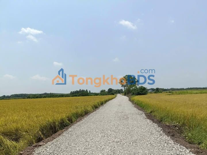 Đất Vườn Tây Ninh 3600m² - Mặt Tiền 13m Giá Tốt