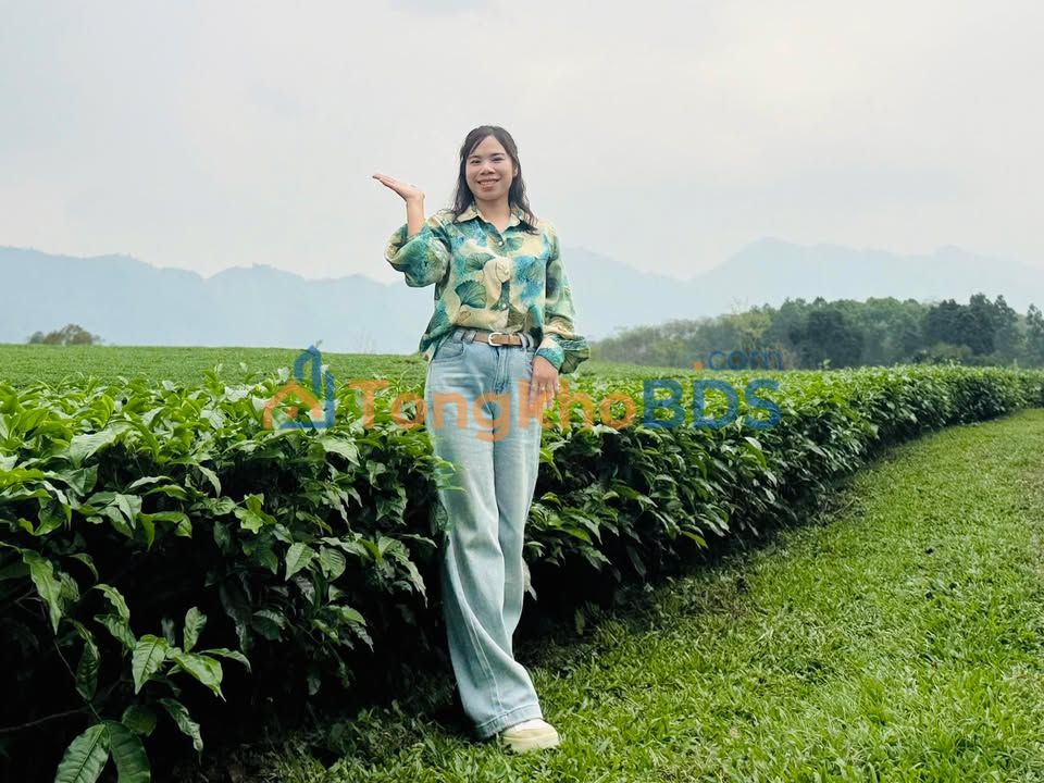 Đất Thổ Cư 100m² Tam Đảo, Vĩnh Phúc - Giá Tốt Đầu Tư