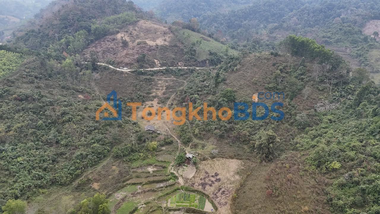 Đất nền Sơn Thành Na Rì 13,9ha 2 tỷ - Sổ đỏ chính chủ