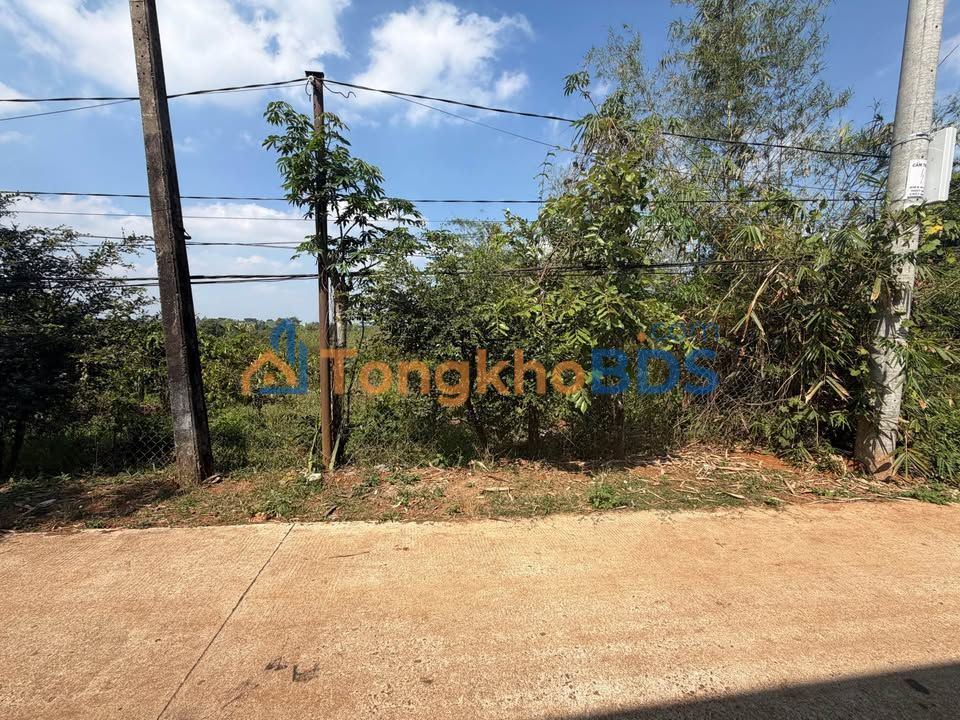 Đất Nền 9600m² Mặt Tiền QL14, Đức Trọng, Lâm Đồng - Giá Tốt 950 Triệu