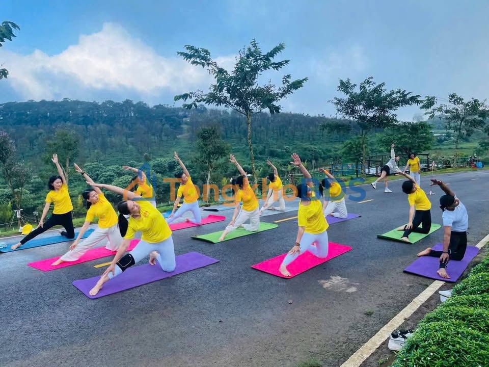 Đất Nền Nghỉ Dưỡng Làng OMM Bảo Lộc 147m² - Sổ Hồng Riêng, Giá 1.2 Tỷ