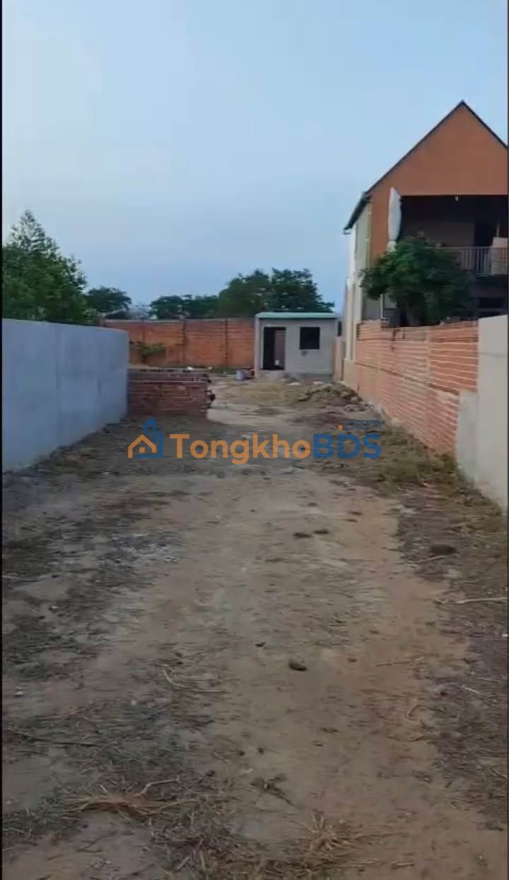 Đất Phước Hội Long Đất 955m² giá 1,7 tỷ - Sổ đỏ chính chủ