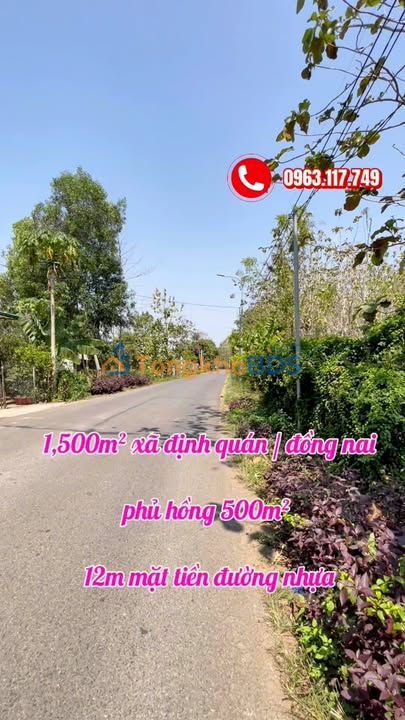 Đất nền Xã Ngọc Định Định Quán 1.500m² - Đường to ô tô