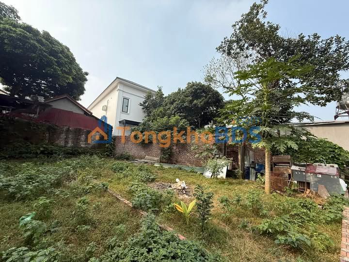 Bán đất 112.5m² Tân Thành, Việt Trì - Sẵn sổ, giá 1.8 tỷ