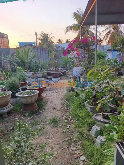 Nhà Vườn 354m² - Sổ Hồng Riêng - Cách Làng Bình Quý 300m - 1.5 Tỷ