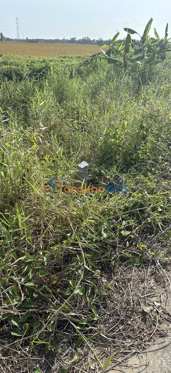 Đất nền Nhu Gia Sóc Trăng 3000m² giá 840 triệu - Giá đầu tư tốt