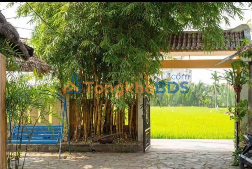 Đất nền Cẩm Thanh Hội An 400m² 10 tỷ - Sổ đỏ chính chủ