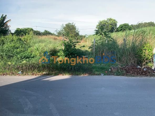 Đất nền 125m² Củ Chi - Mặt tiền nhựa, Kinh doanh tốt, 2.5 tỷ