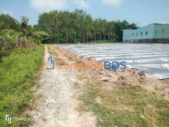 Đất Nhuận Đức Củ Chi - Lô Góc 2 Mặt Tiền 2224m² Sổ Đỏ Sẵn Sàng