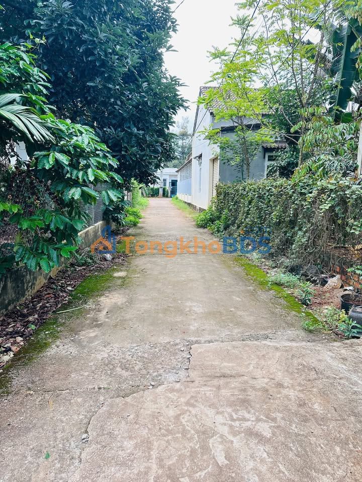 Nhà Nguyễn Thái Bình 100m² 2,65 tỷ - Sẵn sàng ở ngay