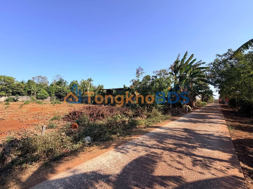 Đất Nền Xã Cư M'gar - Sổ Sẵn 140m² Giá Chỉ 339 Triệu