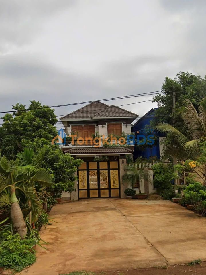 Bán Biệt Thự Sổ Đỏ 250m² Quốc Lộ 14, Buôn Ma Thuột - Vườn Cây Ăn Trái Trĩu Quả