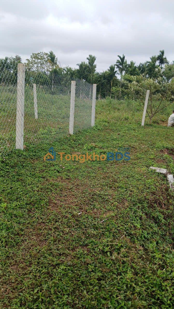 Bán Đất 3600m² Phường Tân Lập, Buôn Ma Thuột - Sổ Hồng, Giá 1.3 Tỷ