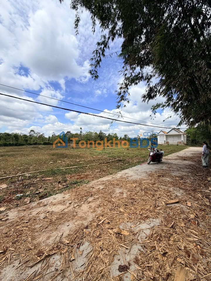 Đất Nền Eakmat BMT - 2 Lô Liền Kề 300m² - Đầu Tư Sinh Lời