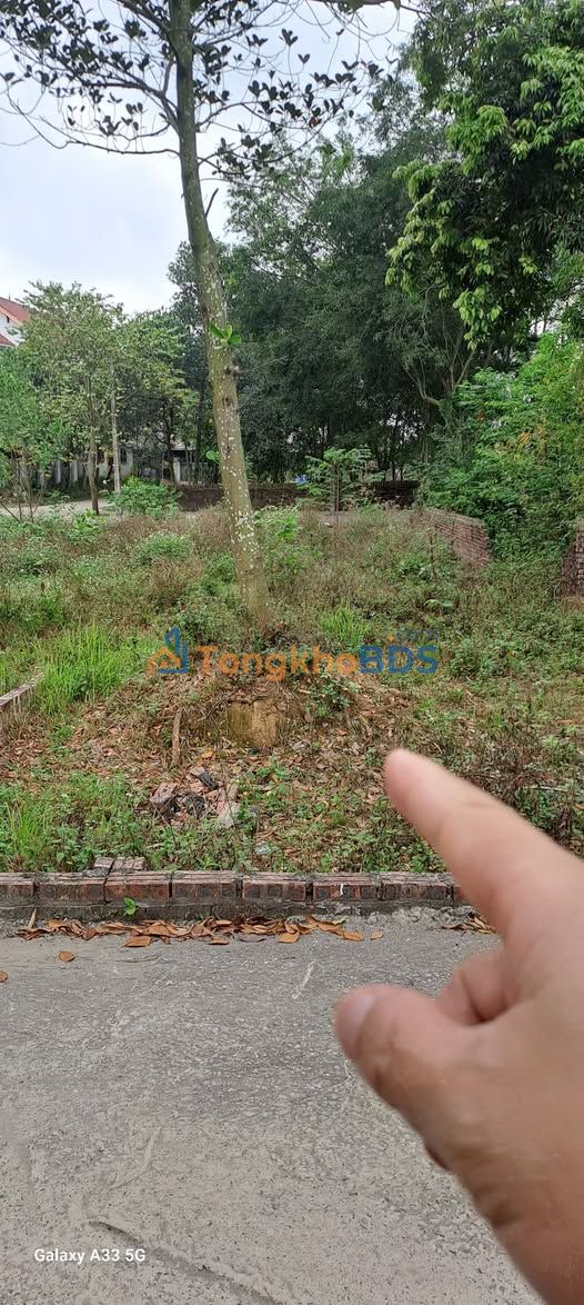 Đất nền Sóc Sơn 98m² 3 tỷ - Sổ đỏ chính chủ