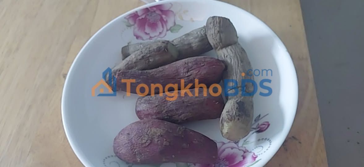 Đất nền Trung An Củ Chi 90m² 1.399 tỷ - Đất thổ cư 100%