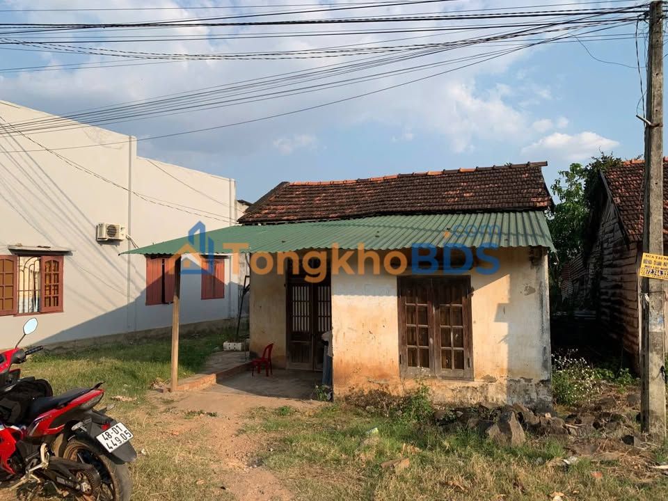 Đất Vườn 6500m² Mặt Tiền Thôn 3 Nam Dong - Tiềm Năng Kinh Doanh Cafe