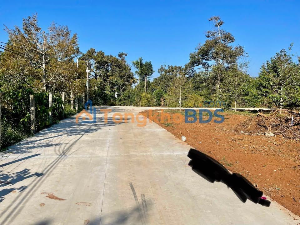 Đất nền Đường B5 Tân An 100m² 990 triệu - Sổ đỏ chính chủ