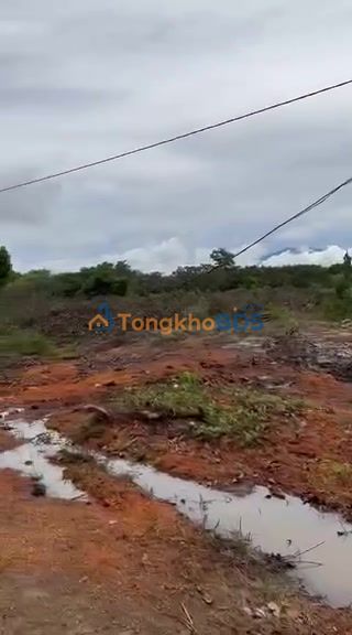 Đất Vườn Đăk Lăk 3.2ha Giá Tốt - Sổ Đỏ Rõ Ràng