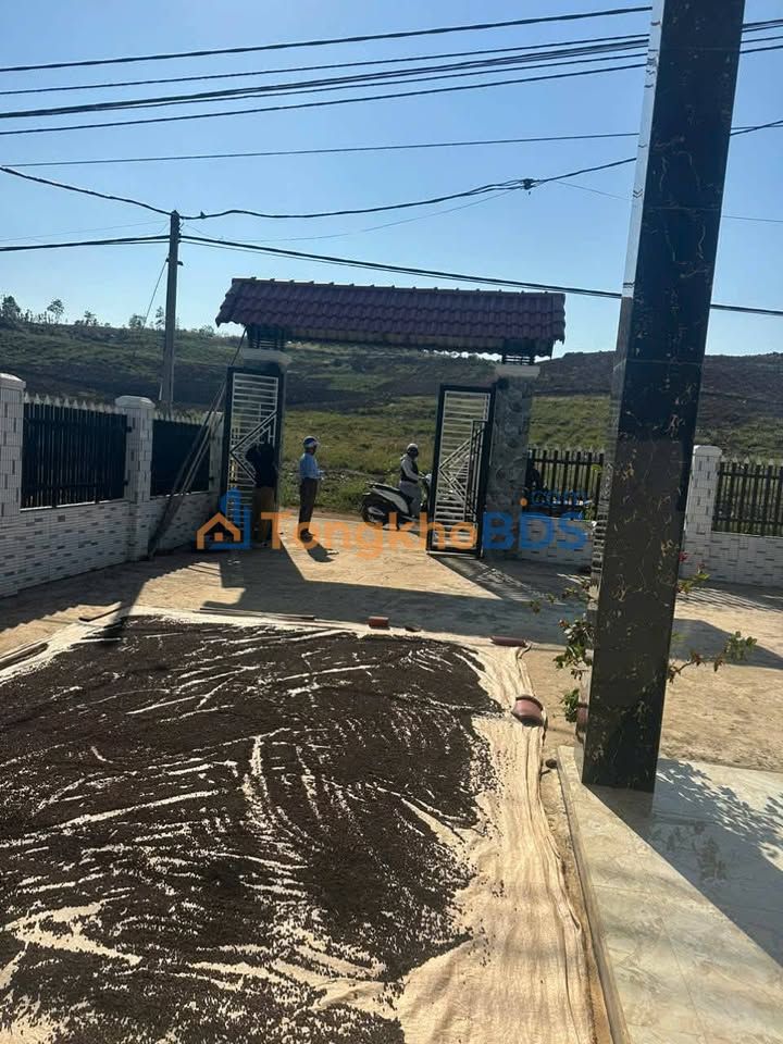 Đất Nền Đắk Mil 500m² - Sổ Đỏ Chính Chủ, Giá Đầu Tư 390 Triệu