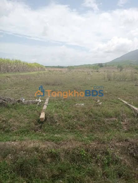 Đất thổ cư 3000m² Ninh Tân, Ninh Hòa - Tiềm năng phân lô, đầu tư sinh lời