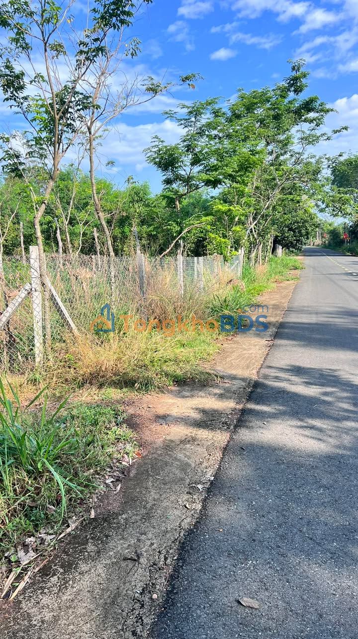 Đất nền Tân Thành Bù Đốp 580m² 0.65 tỷ - Đường to ô tô