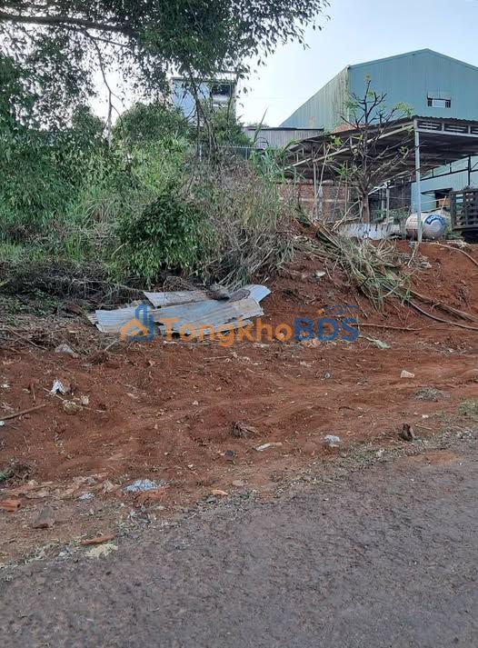 Bán Đất Vàng Kiến Đức, Đắk Nông - 240m² - 1.09 Tỷ - Sẵn Sổ