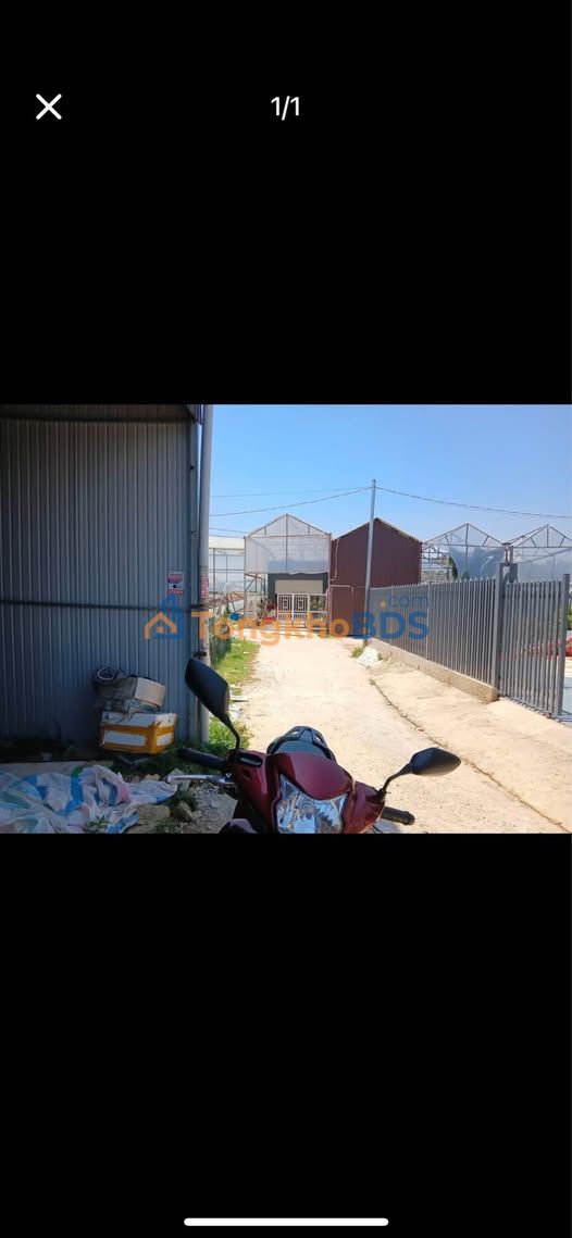 Đất Phường 7 Đà Lạt 65m² 780 triệu - Pháp lý rõ ràng