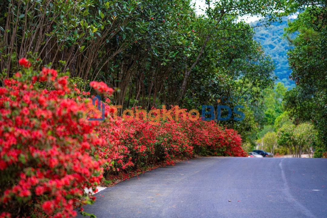 Bán Đất Tặng Nhà Cấp 4 Phường Khắc Niệm, Bắc Ninh - 81m², Dòng Tiền 7 Triệu/Tháng