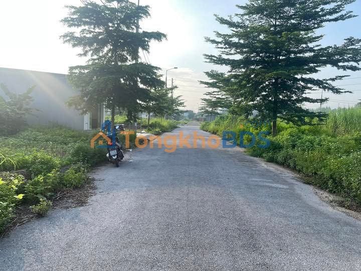 Đất đấu giá Yên Mỹ, Lạng Giang 90m² - Cắt lỗ sâu, giá 1.3 tỷ