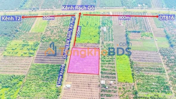 Đất vườn Thạnh Hòa Bến Lức 1.03 nghìn m² 845tr - Sinh thái xanh