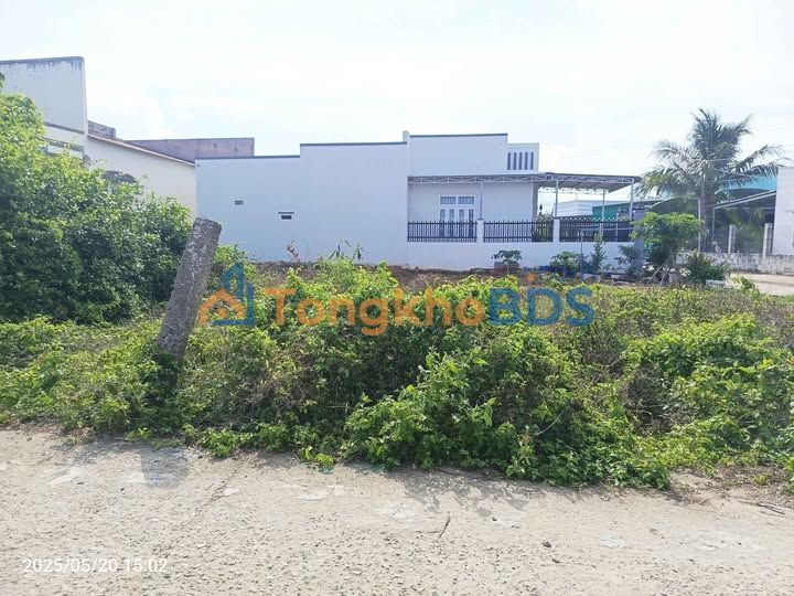 Đất Thổ Cư Mặt Tiền Bê Tông Hàm Thắng 98m² - Sổ Đỏ Sẵn Sàng