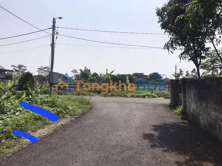 Đất Nền Thôn 5 Phú Sơn, Nho Quan - 98m² Full Thổ Cư, Đường Ô Tô Tránh