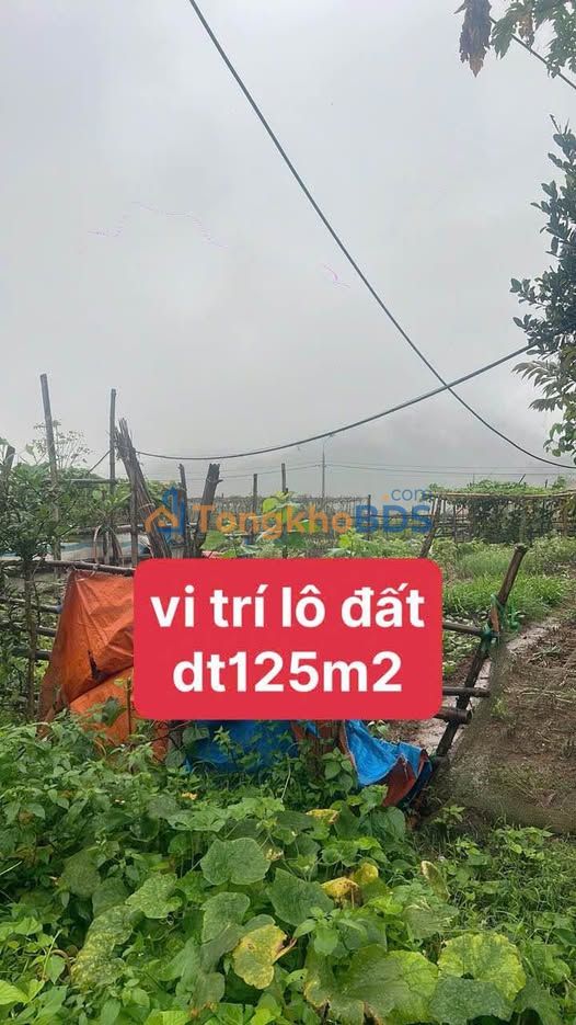 Dat Nguyen Tuan B9 Lao Cai 125m2 1.6 ty - So do chinh chu