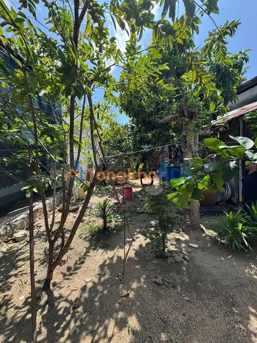 Đất Thổ Cư 97.5m² Sổ Hồng Sẵn Sàng - TDP Linh Xuân, Đà Lạt