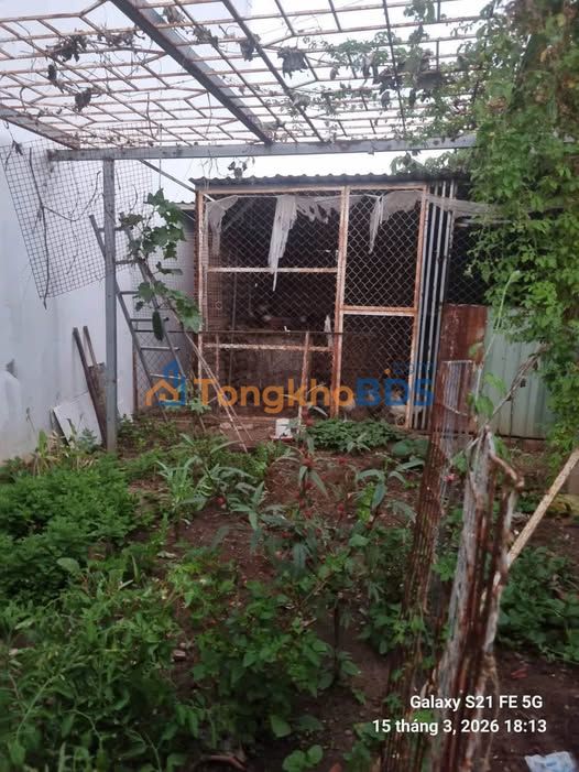 Bán Gấp Đất Vũng Tàu 55m² Đường Bình Giã - Sẵn Móng, Sổ Đỏ Công Chứng