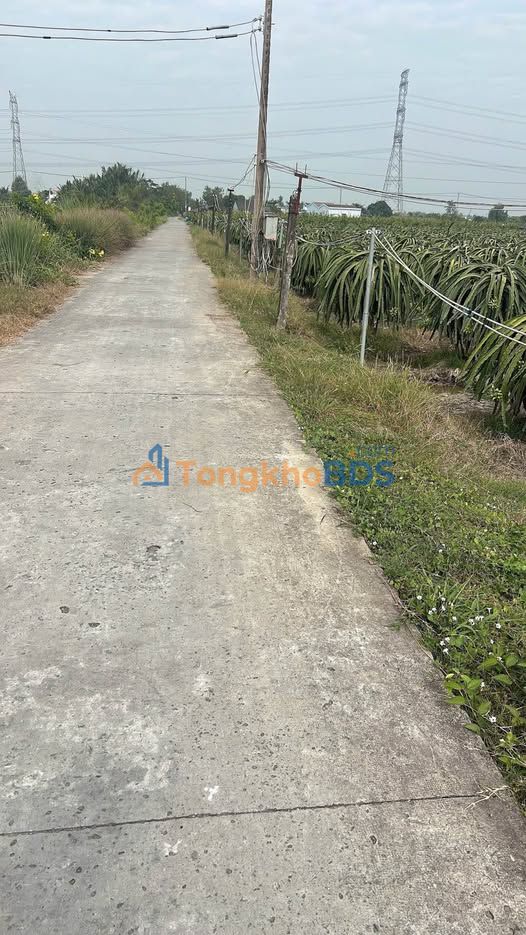 Đất Vĩnh Công Long An 212m² Sổ Đỏ Chính Chủ - Giá 590 Triệu