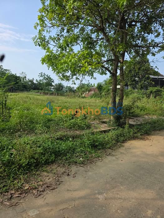 Đất Nền Xuyên Đông Điện Phước 110m² - Giá Đầu Tư Chỉ 4xx Triệu